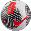 Futbalová lopta Nike Flight FA23 FB2901-100 Veľkosť: 5