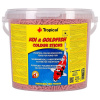 Krmivo pre ryby Tropical Koi & Goldfish Color Sticks 430 g