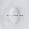 Wilco - A Ghost Is Born: 20th Anniversary 2CD