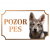 Saarloosov vlčiak - Kovová tabuľka POZOR PES
