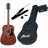 Ibanez V54NJP