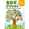 Rok stromů - Ottomanská, Vladimíra