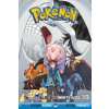 Pokemon Black and White, Vol. 19