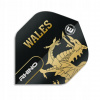 Winmau Rhino Black & Gold Flag - Wales