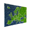 Machová 3D mapa Európy - severský lišajník Modrá & Zelená, 90 x 70 cm, Biele drevo