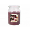 Bispol sviečka v skle 500g Mulled Wine