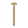 Hansgrohe Príslušenstvo - Prívod od stropu S 30 cm, kefovaný bronz 27389140