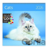 Cats nástěnný 2026