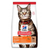 Hill's Feline Adult Lamb & Rice 3 kg