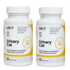 Lab-v Urinary Cat - Podpora močových ciest pre mačky 2x45 kapsúl