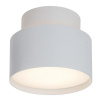 Rabalux OVIDIA LED stropné svietidlo 71324