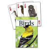 Birds of the Rocky Mountains Playing Cards (Stan Tekiela)(Hra)