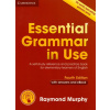 Essential Grammar in Use 4th Edition: Edition with answers and Interactive eBook - Murphy Raymond