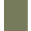 Inebrya Color Correctors Green 100 ml