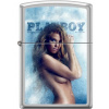 Zippo Playboy December 2014 + možnost gravírování