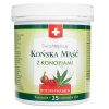 Herbamedicus Hrejivá konská masť s konope - 500 ml