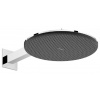 Hansgrohe Raindance Alive S - Hlavová sprcha, priemer 30 cm, 2 prúdy, chróm 24540000