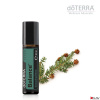 doTerra Balance Touch 10 ml