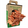 Hliva ružová MUSHROOMS GROW KIT hotová sada