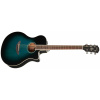Yamaha APX600 OBB