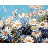 ZUTY Maľovanie podľa čísel - MARGARÉTY Rámovanie: bez rámu a bez vypnutia plátna, Rozmer: 80x100 cm