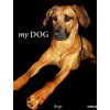 My Dog