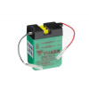 YUASA Conventional 6V battery NO ACID YUASA 6N2-2A-4