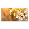 Foto -Hanging Photo 140x70 kvety rastlina príroda (Foto -Hanging Photo 140x70 kvety rastlina príroda)