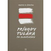 Príhody tuláka po Slovensku - Šimečka M. Martin