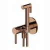 Flush -Mounted Bidet batéria, Omnires y (Flush -Mounted Bidet batéria, Omnires y)