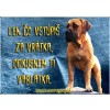 Tabuľka pozor pes (Boerboel)