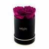 Black Flower Box Prírodné Eternal Violet Roses (Black Flower Box Prírodné Eternal Violet Roses)