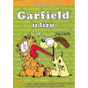 Garfield u lizu (Jim Davis)