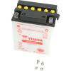 Batéria YUASA YB14-B2(DC)