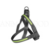 Postroj pre psa Flash Light USB 60-75cm/25mm zelený