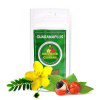 GUARANAPLUS Kotvičník + Guarana, prášok 100 g - 100 g