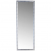 Carryhome NÁSTENNÉ ZRKADLO 66/186/3 cm - Zrkadlá na stenu - 002757012303