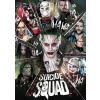 Suicide squad DVD