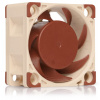 Noctua NF-A4x20-FLX, 40x40x20mm, 3-pin, 5000/3700 RPM