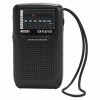 Aiwa RS-33