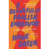 A Beautifully Foolish Endeavor - Hank Green