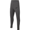 Nike Team Park 20 Fleece Pant CW6909 063