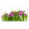 Foto -Hanging Photo 140x70 Tulips Flowers Rastle (Foto -Hanging Photo 140x70 Tulips Flowers Rastle)