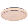 Rabalux TREVOR2 LED stropné svietidlo 71182