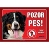 Plastová tabuľa Pozor Pes Bernský salašnícky pes 21 x 14,7 cm