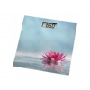 Xavax 95325 Rosa