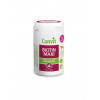 CANVIT Dog Biotin Maxi 230 g