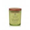 Chesapeake Bay Awaken + Invigorate Lemongrass Eucalyptus vonná sviečka 96 g