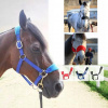 Viacfarebná výcviková súprava XL (Doberman Pinscher Sports set červené tetovanie)