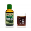 Guarana - bylinné kapky (tinktura) 50 ml - doplněk stravy